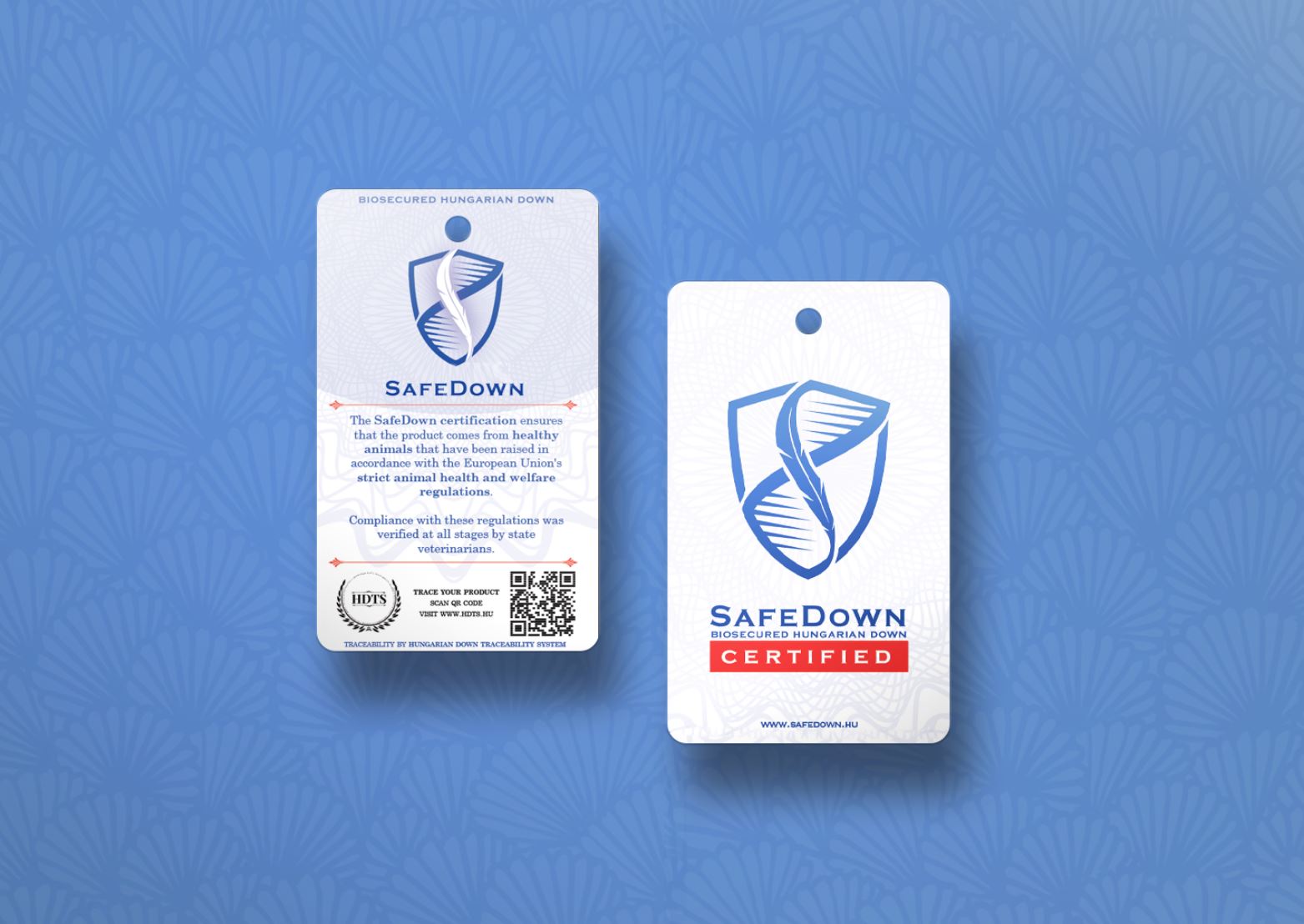 SafeDown Gallery Image 3